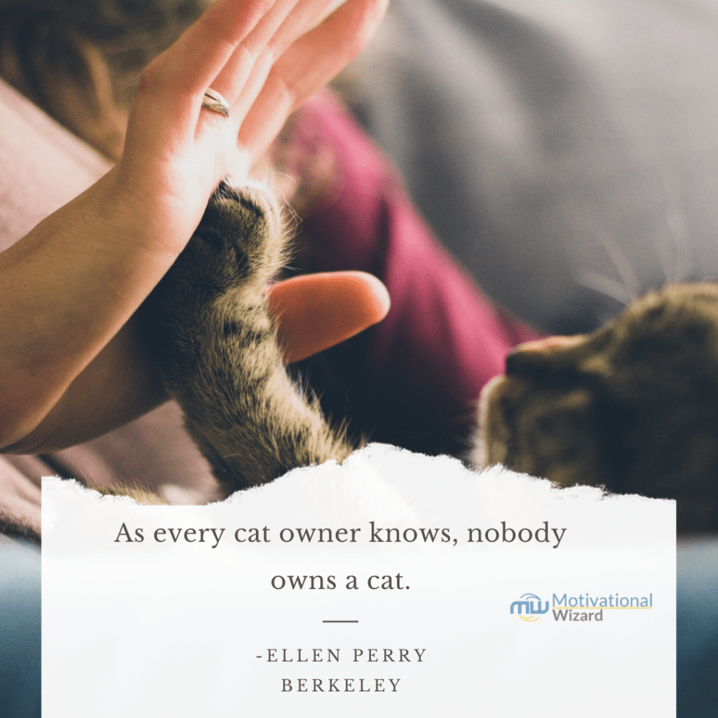 Top 30 Cats Quotes For Cats Lovers