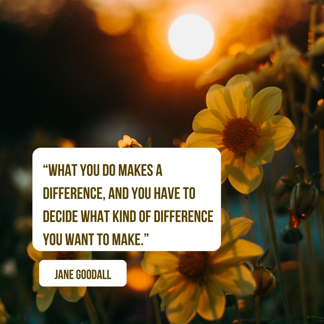 “What you do makes a difference, and you have to decide what kind of difference you want to make.” — Jane Goodall