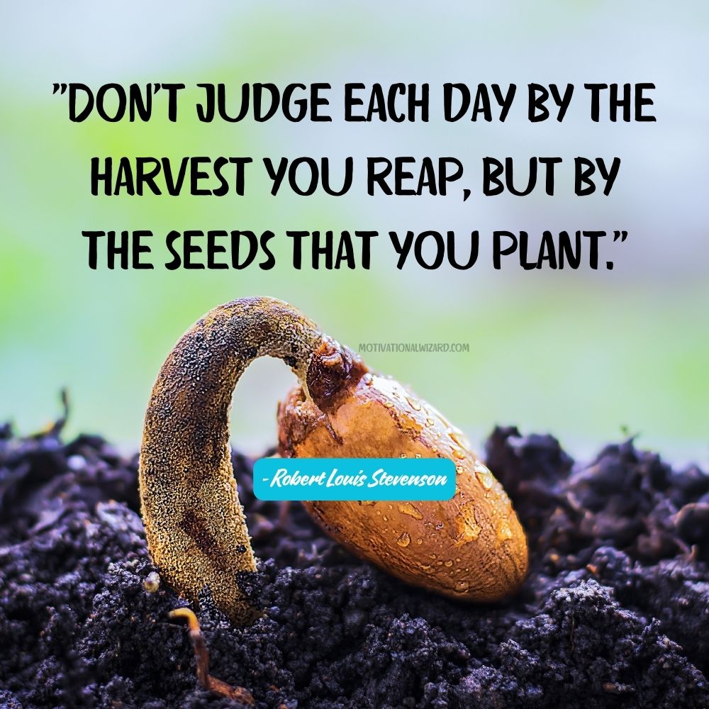 Don't judge each day by the harvest you reap, but by the seeds that you plant. - Robert Louis Stevenson